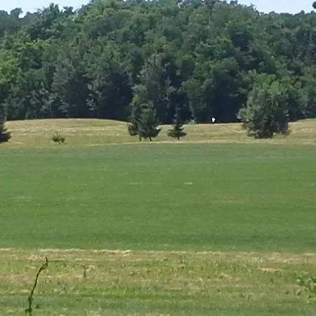 Nagelj Апартаменты Моравске-Топлице