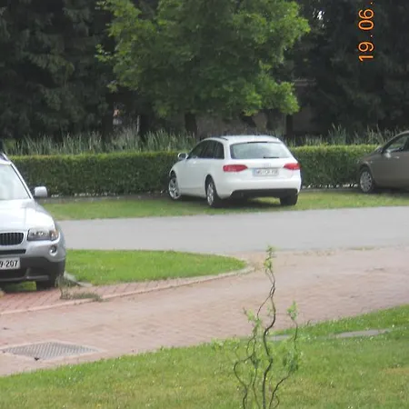 Nagelj * Моравске-Топлице