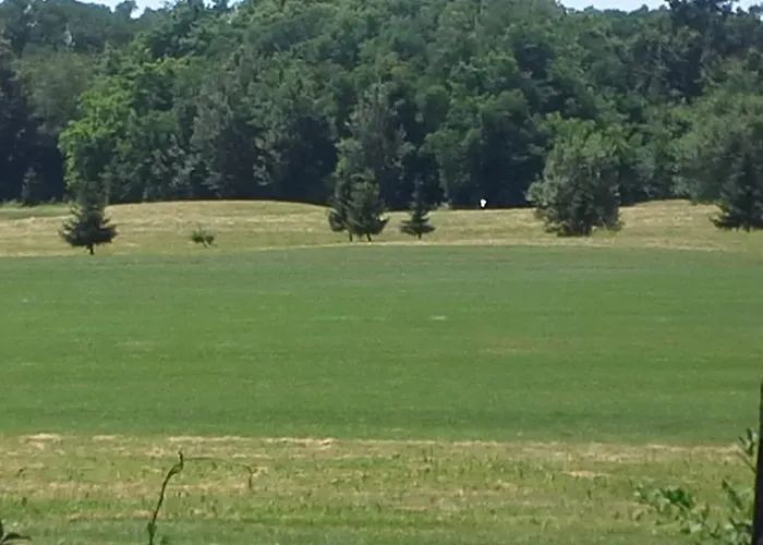 Nagelj Appartamento Moravske Toplice