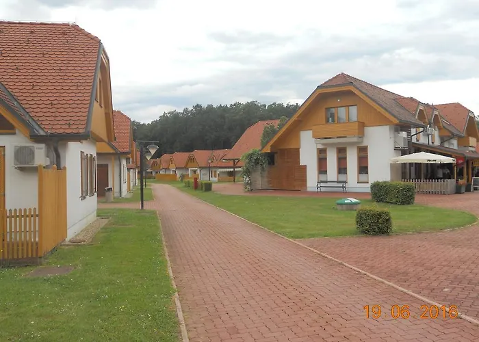 Nagelj Moravske Toplice