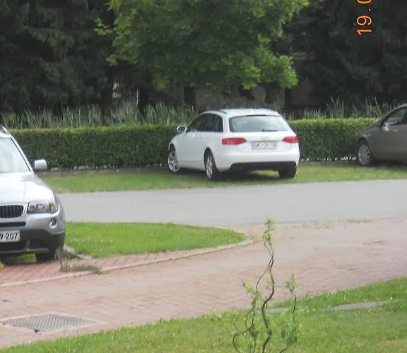 Nagelj * Moravske Toplice