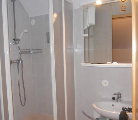 Nagelj Moravske Toplice