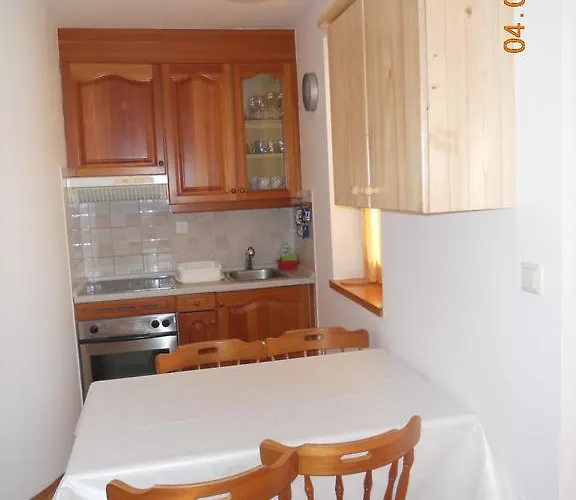 Nagelj * Moravske Toplice